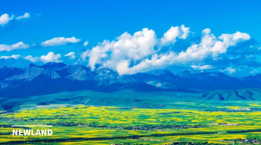 《全國鄉(xiāng)村產(chǎn)業(yè)發(fā)展規(guī)劃（2020-2025年）》要點解析